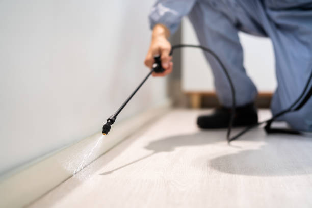 Licensed Ant Control service in St. Albans, WV - Nex Pest Control