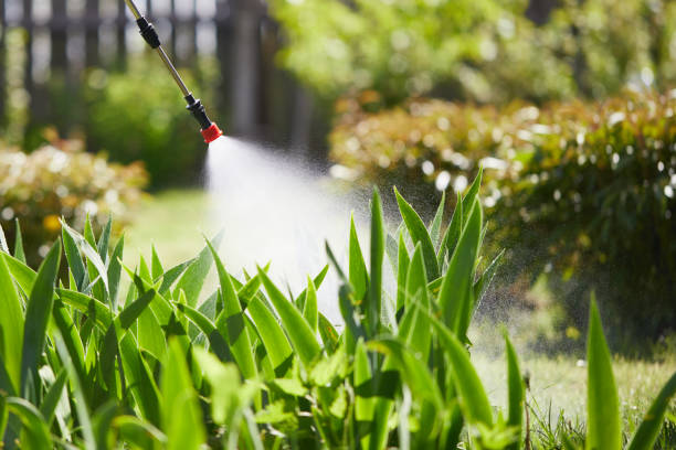 24/7 Emergency Ant Control experts in St. Albans, WV
