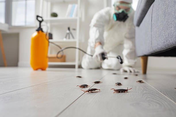 Trusted Fumigation Services service in St. Albans, WV - Nex Pest Control