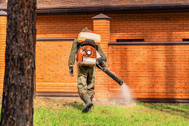 Trusted Emergency Pest Control service in St. Albans, WV - Nex Pest Control